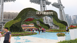 新海南网