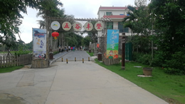 南充汽车网