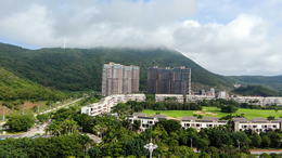 东方汽车网