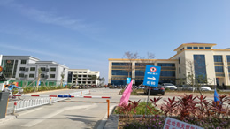 东方汽车网